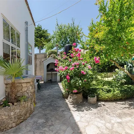 Mirjana Blue Apartman *